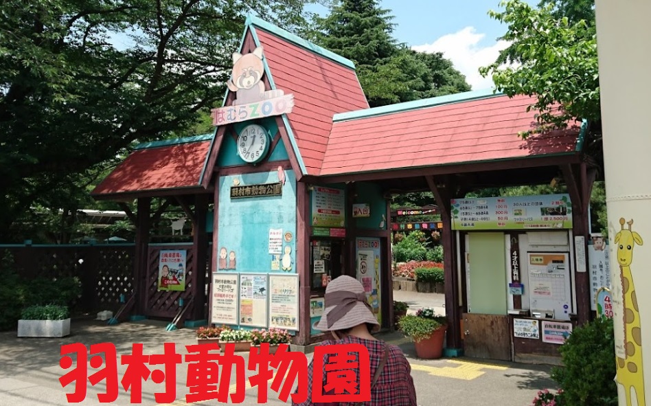 壁紙クロス張り替え 料金 羽村市